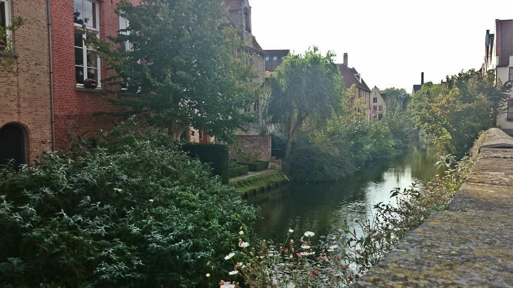 Guesthouse Vlamynckpoort Brugge Eksteriør billede
